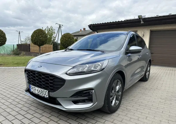krotoszyn Ford Kuga cena 145500 przebieg: 9800, rok produkcji 2023 z Krotoszyn